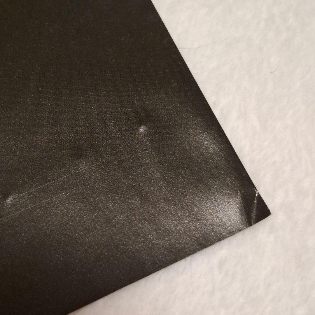 真天地開闢集団 ジグザグ ベレボ 会報