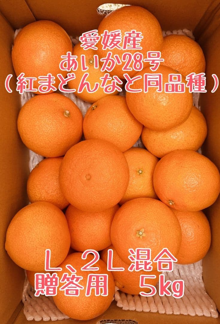 年末SALE！お得なセット2L、Ｌサイズ混合2箱計10キロ贈答に　あいか28号