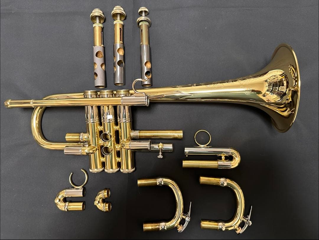 V.BachアルティザンE♭管 AE190GL 長谷川智之氏選定品 [中古]