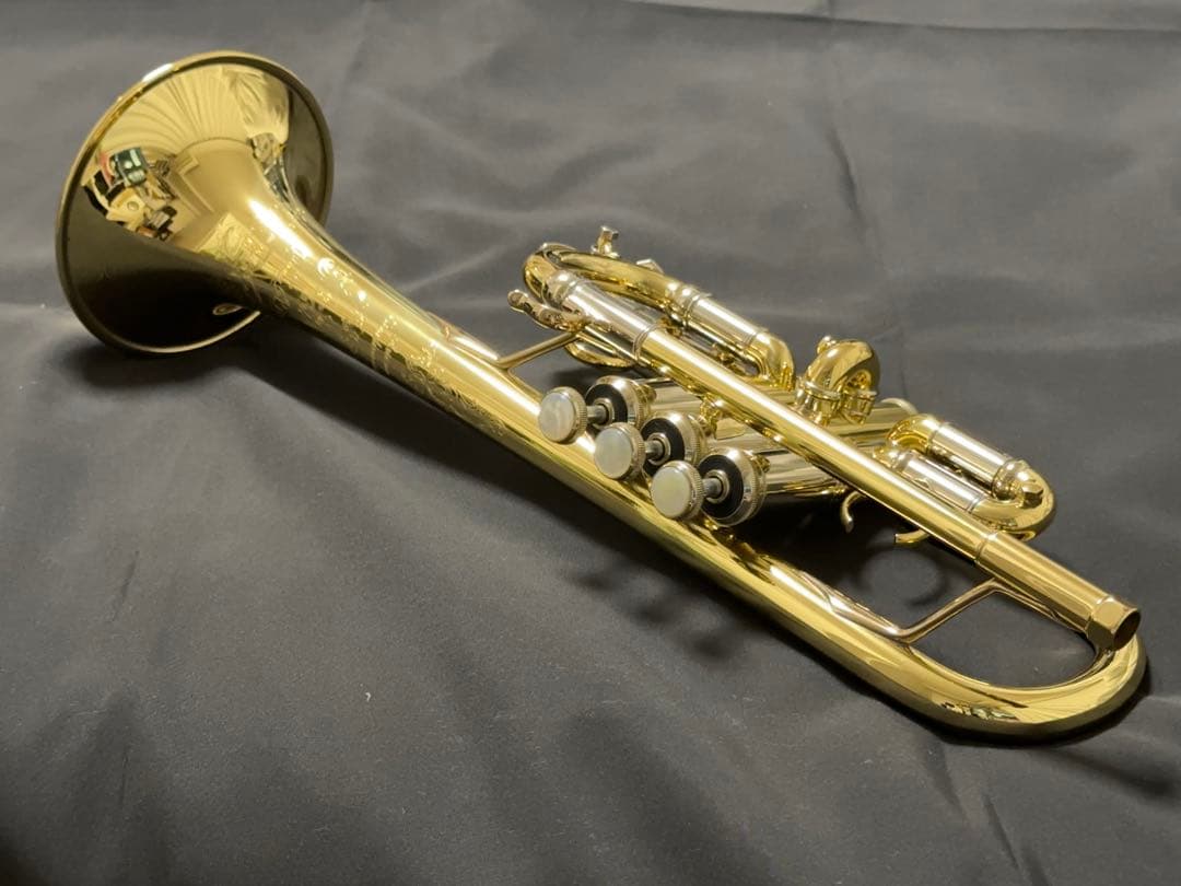 V.BachアルティザンE♭管 AE190GL 長谷川智之氏選定品 [中古]