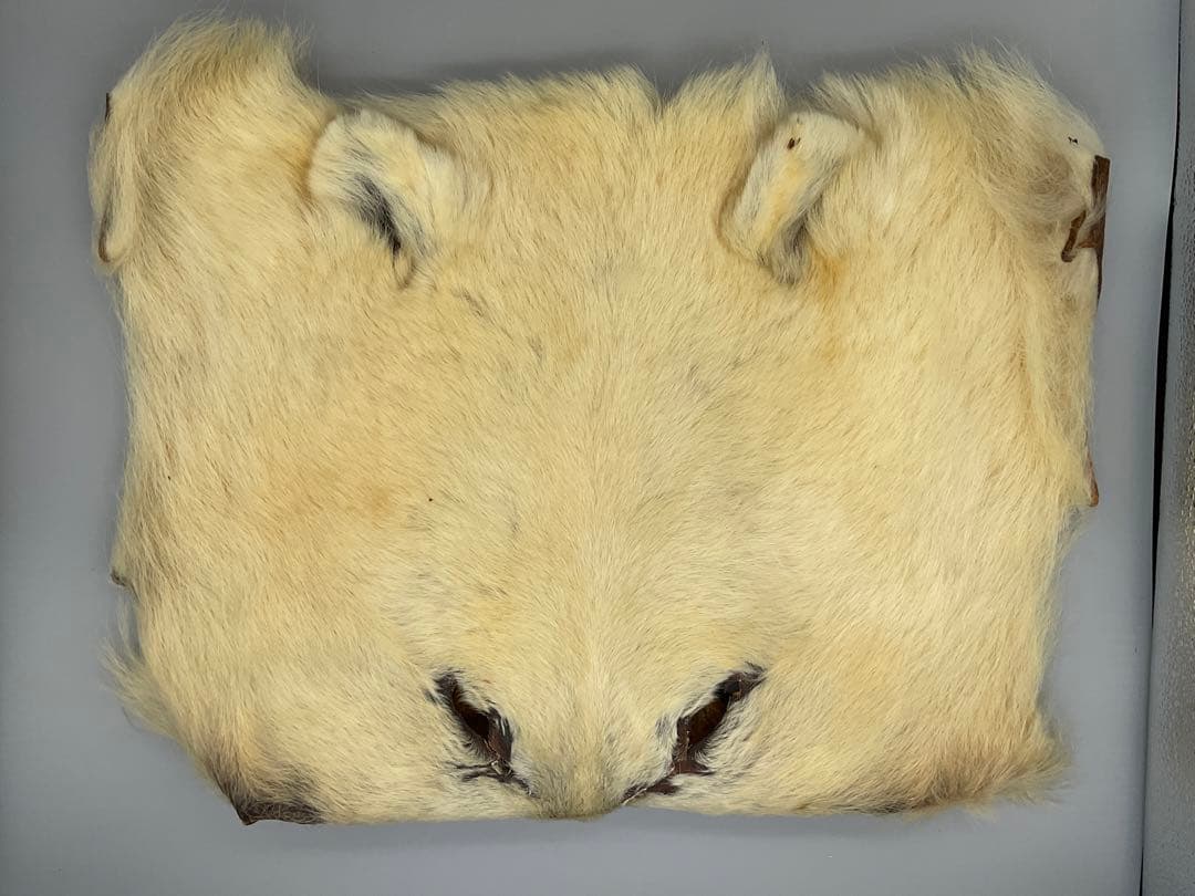 【希少レア!】ポーラベア マスク ヘアマテリアル フライフィッシング