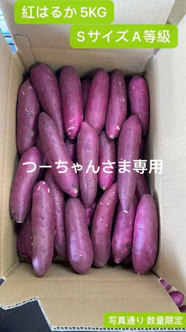 べにはるか 20KG m lサイズ A等級 千葉県産　さつまいも