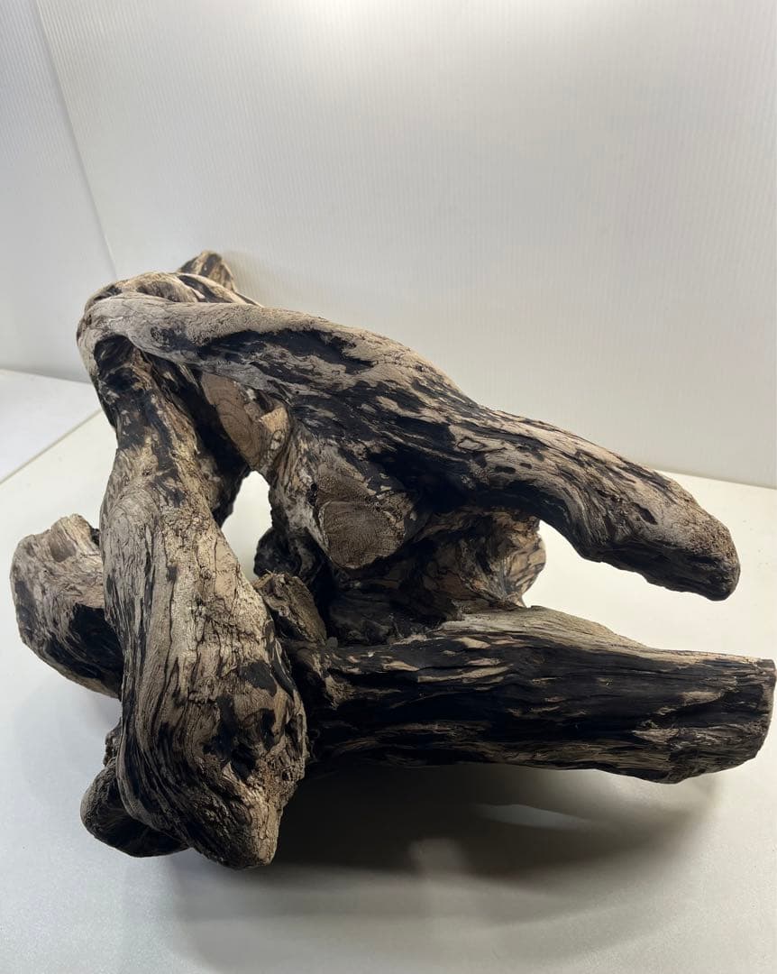 m46特大流木 大型流木 アク抜き済み 爬虫類シェルター レイアウト用 隠れ家