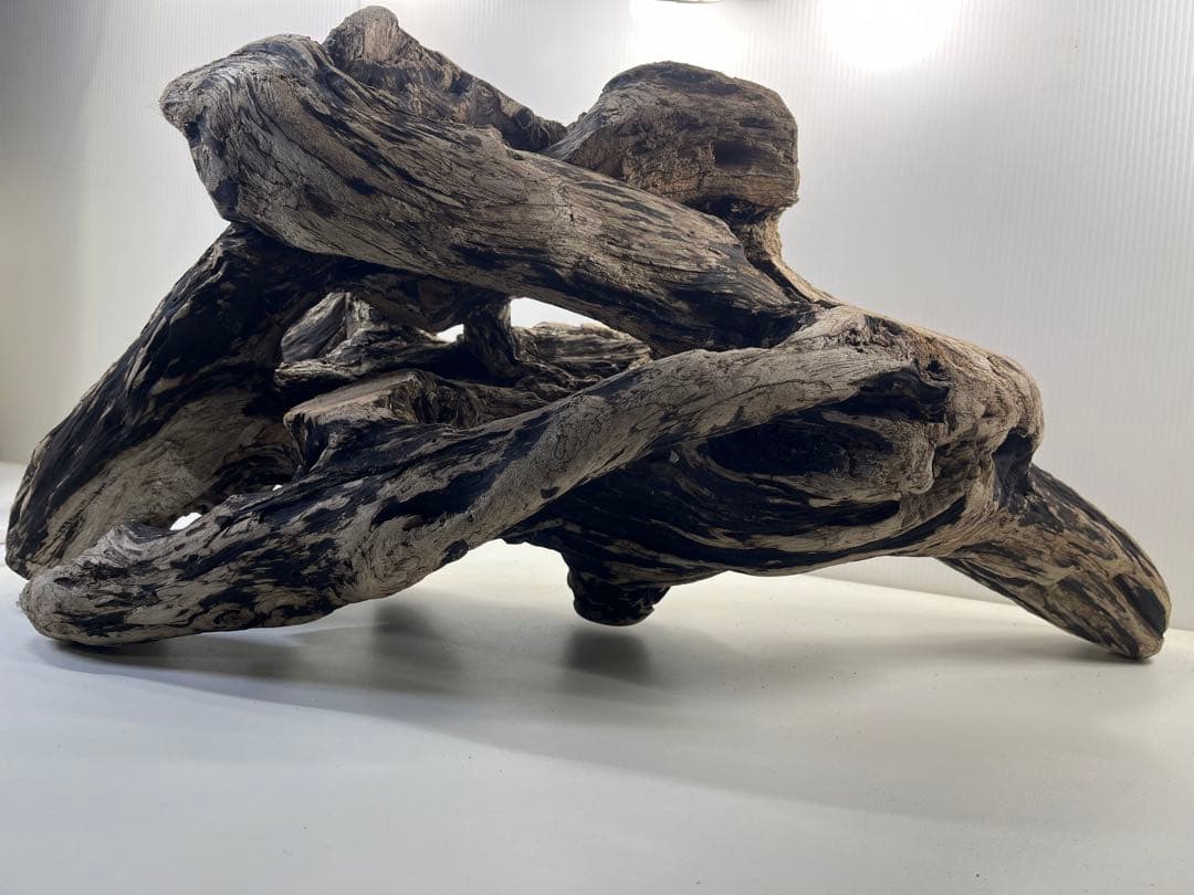 m46特大流木 大型流木 アク抜き済み 爬虫類シェルター レイアウト用 隠れ家