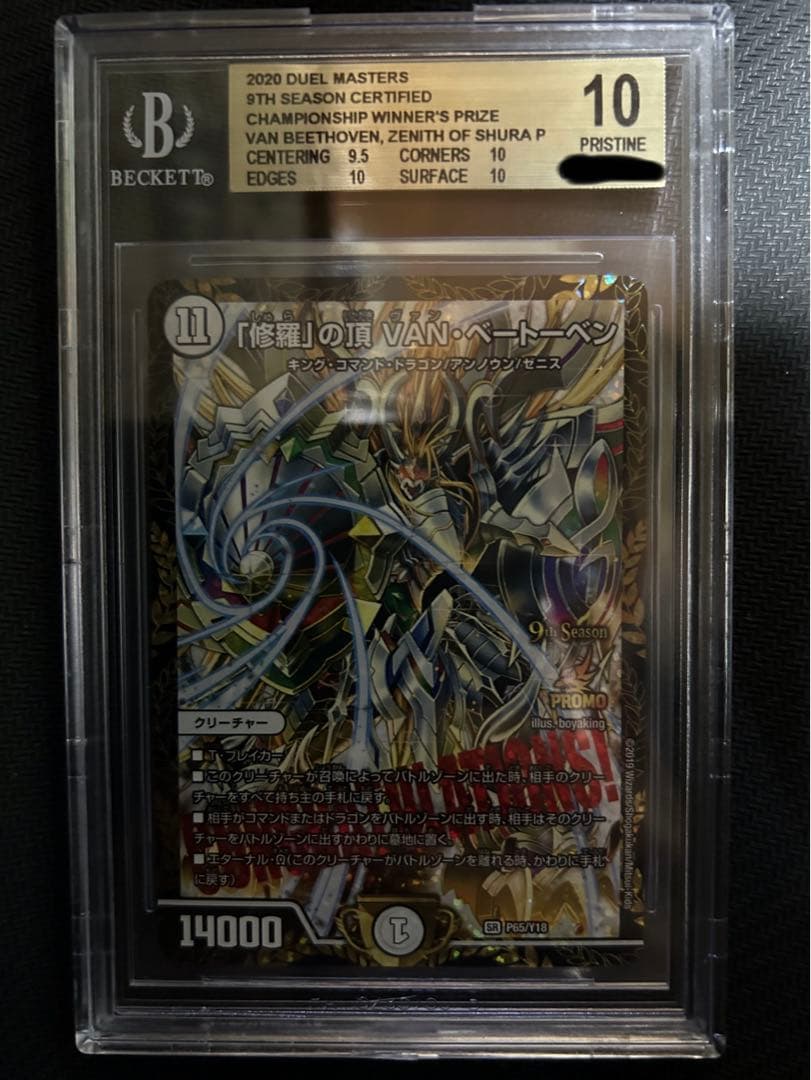 「修羅」の頂 VAN・ベートーベン BGS 10