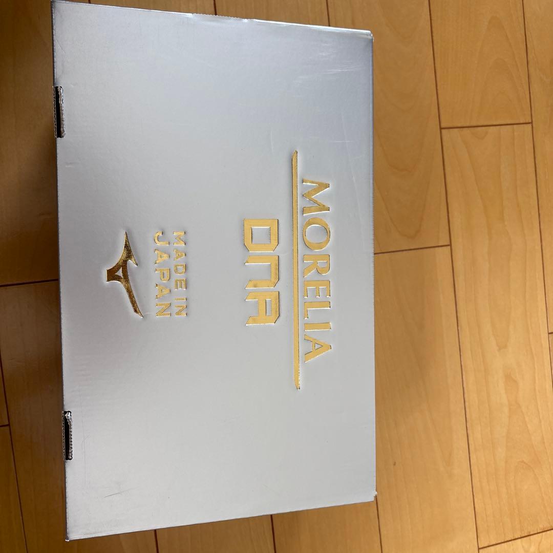 モレリアDNA JAPAN