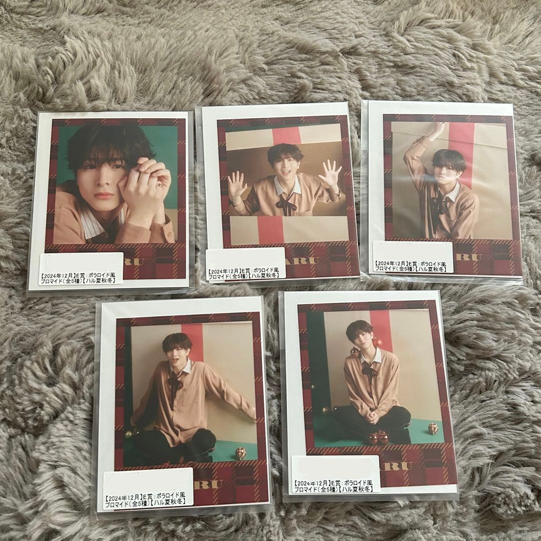 超特急ハル　キラリ12月　ブロマイド