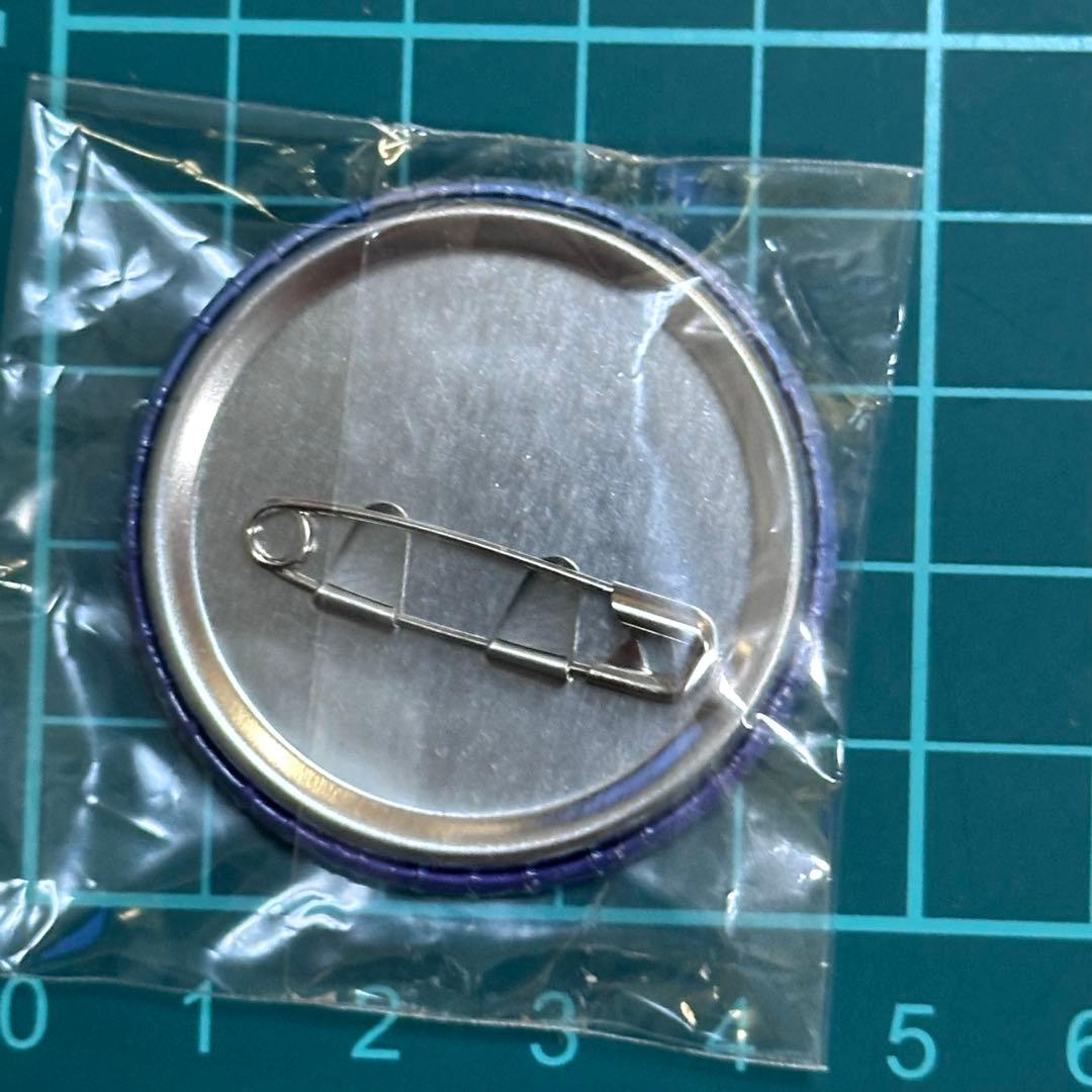 文豪ストレイドッグス 缶バッジセレクション 中島敦 C