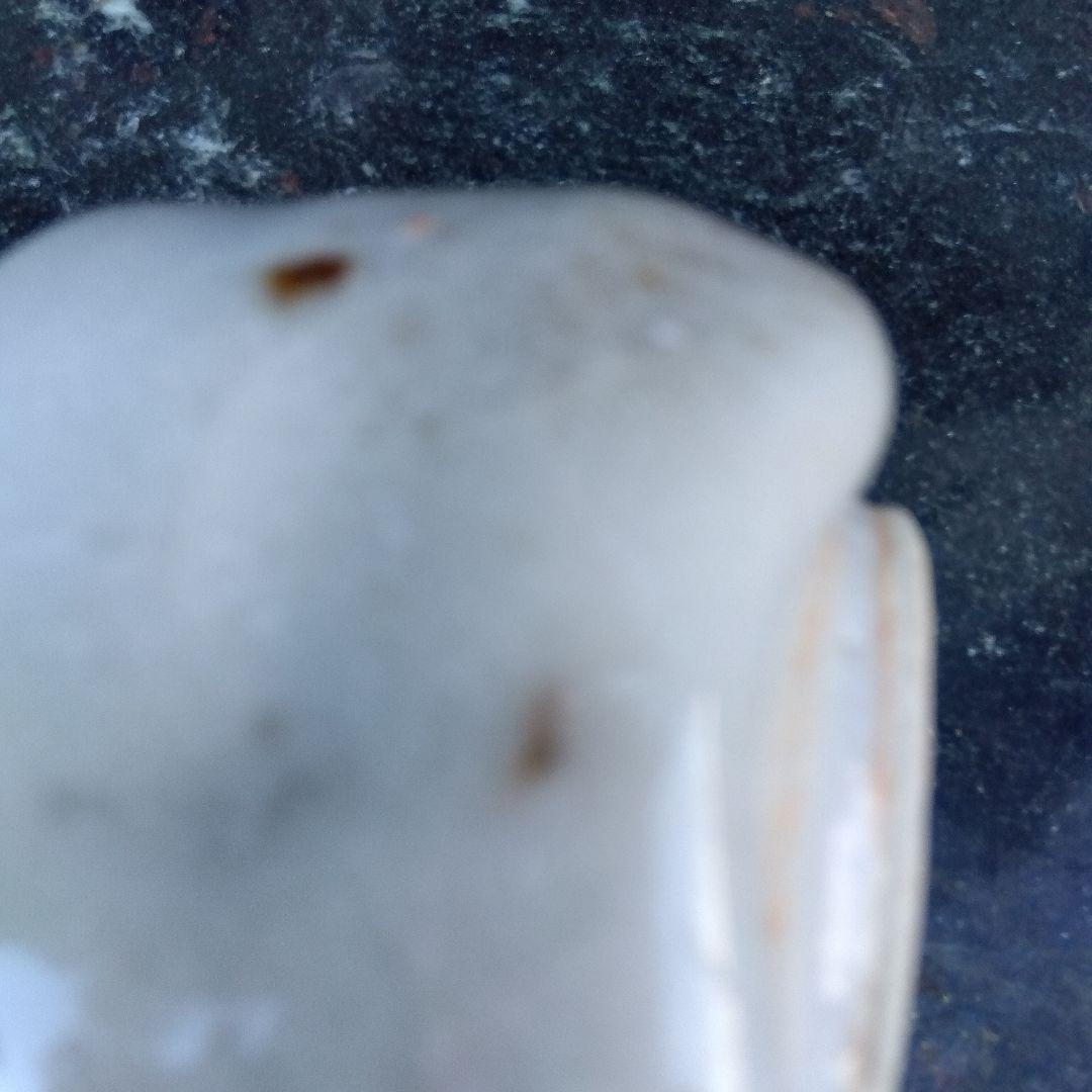 美濃 志野釉 湯呑み