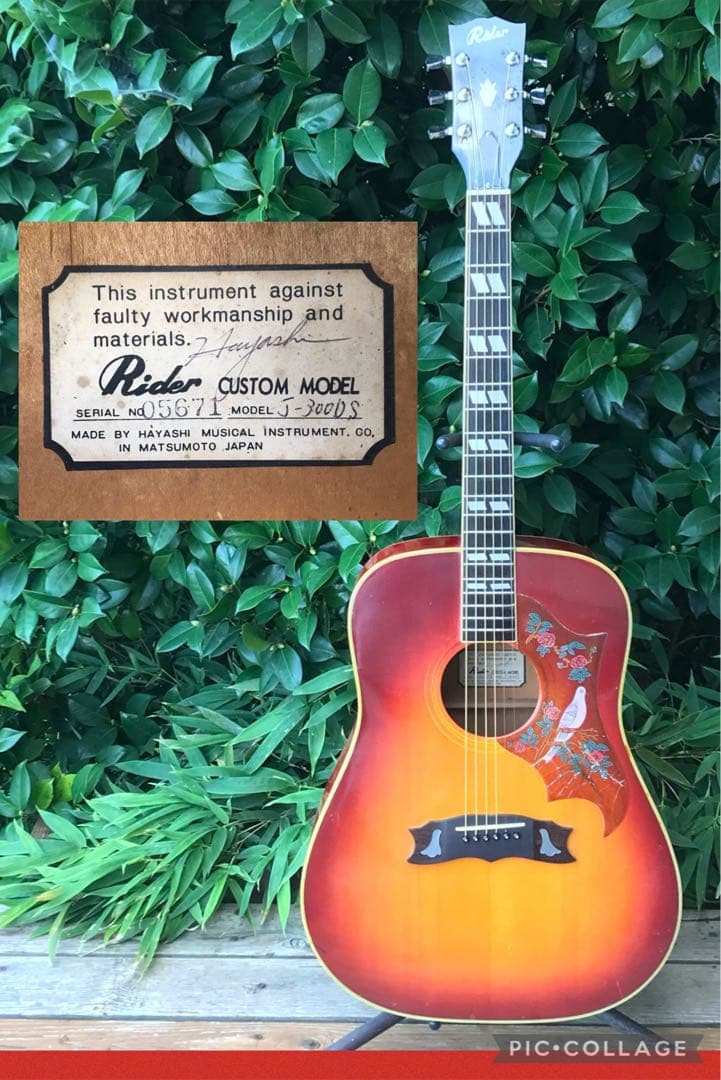 Rider J-300DS Model ライダー 林楽器