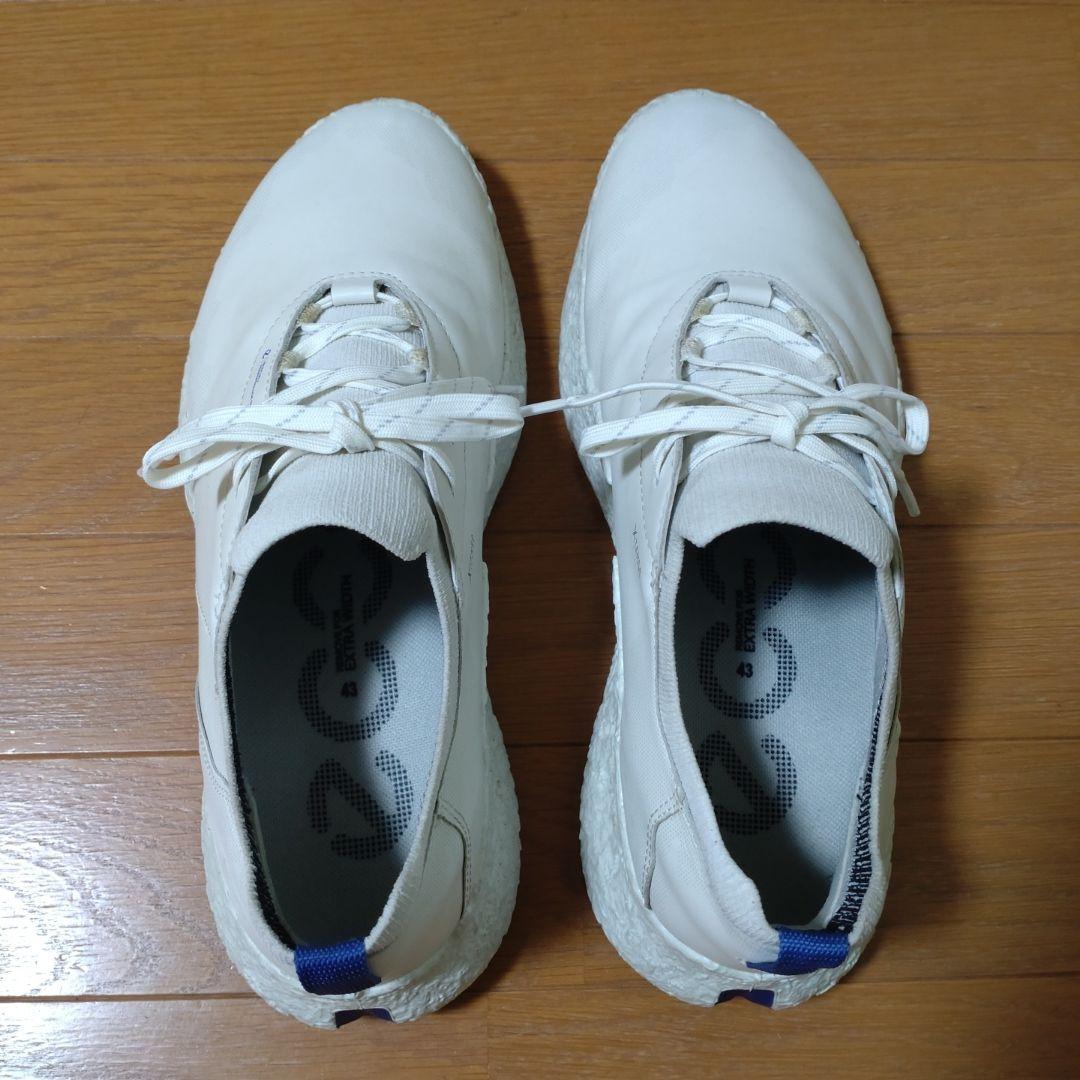 シューズ(男性用) ecco BIOM H5 43