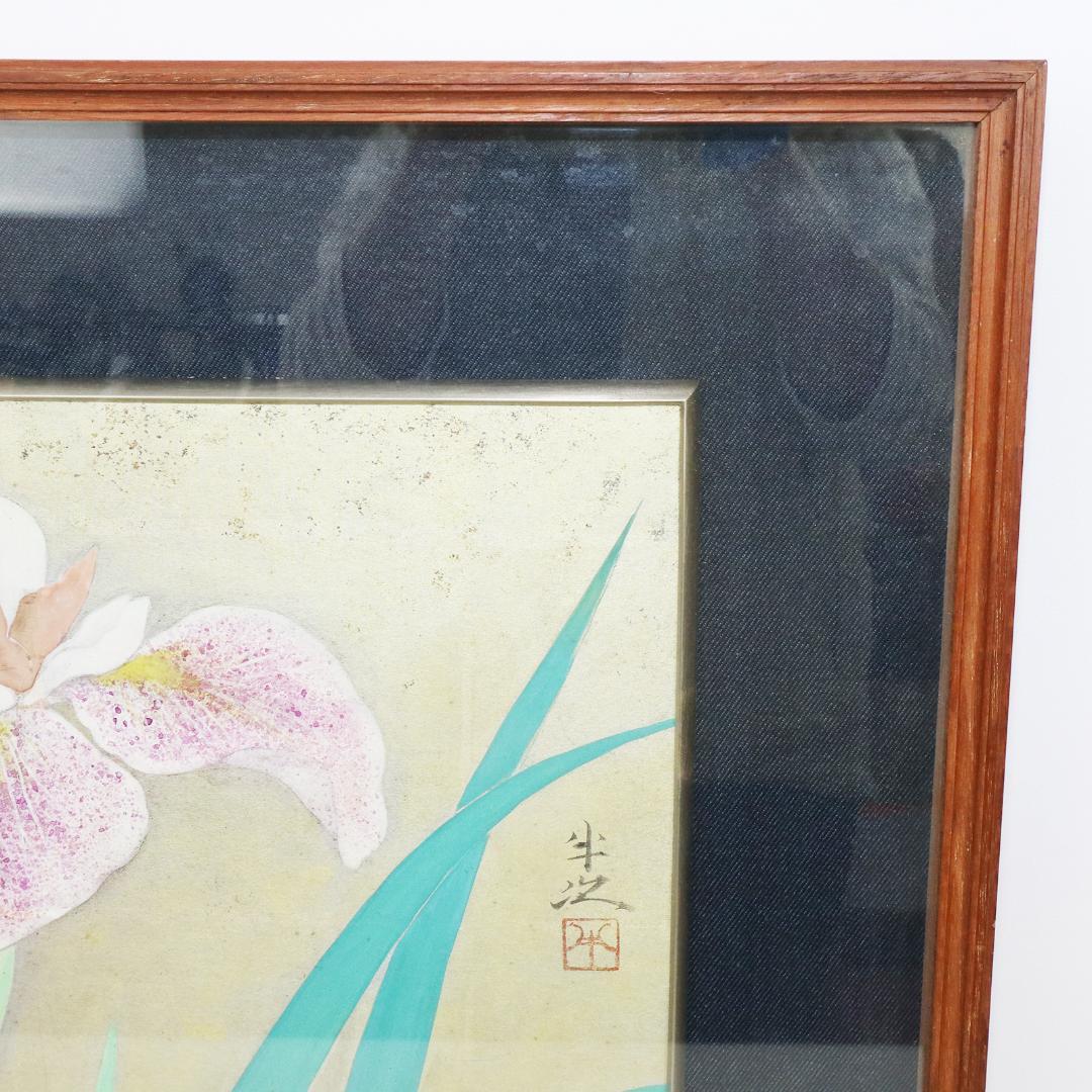 真作 豊秋半次 「菖蒲」日本画 6号 共シール