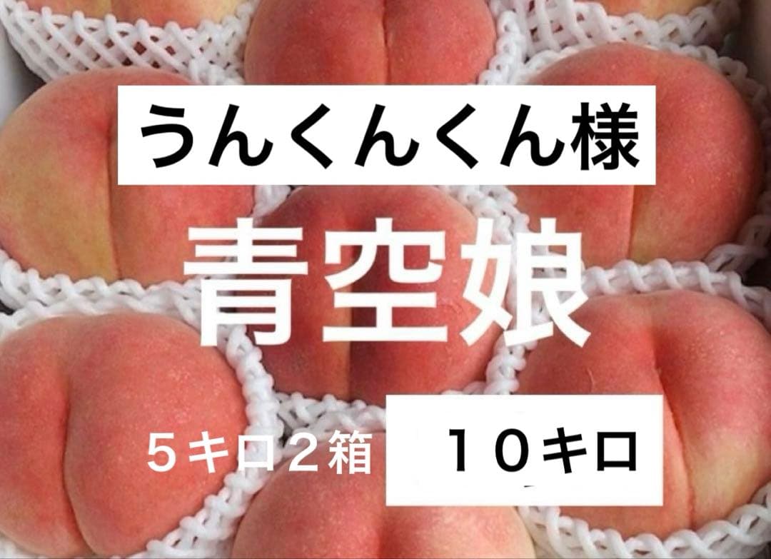 うんくんくん　青空娘　大玉５キロ