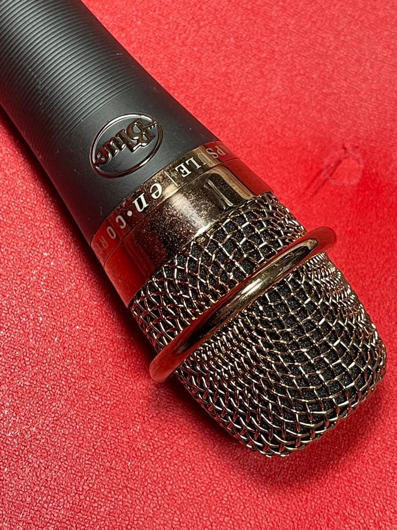 ほぼ未使用 入手困難 Blue enCORE 200 ダイナミックマイク