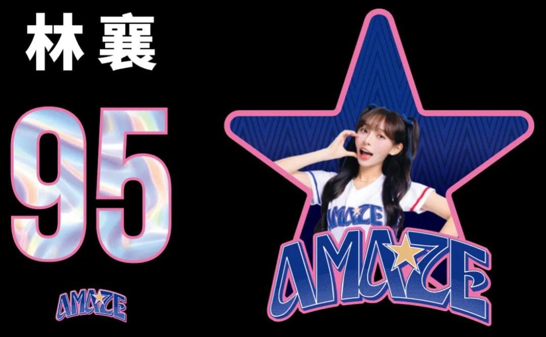 2026　WBC　95　林襄 リンシャン　応援　Tシャツ　ブラック