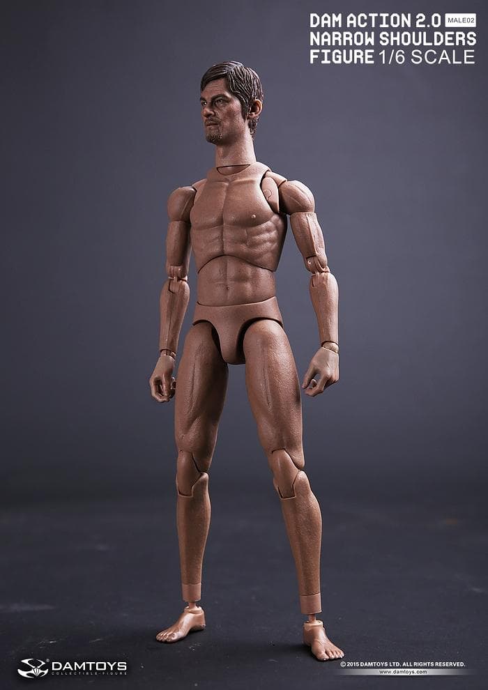 DAMTOYS　NARROW SHOULDERS BODY 1/6 DARYL