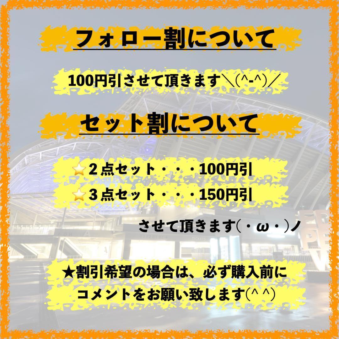 【lalala☆即購入OK】3点セット ファンダイク マルムシュ ヴィルツ