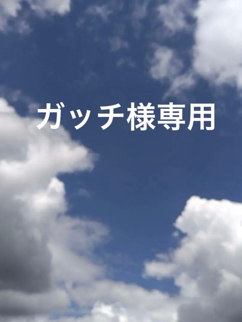 長崎カステラ切り落とし40個 紅茶ビスケット4袋 ガッチ