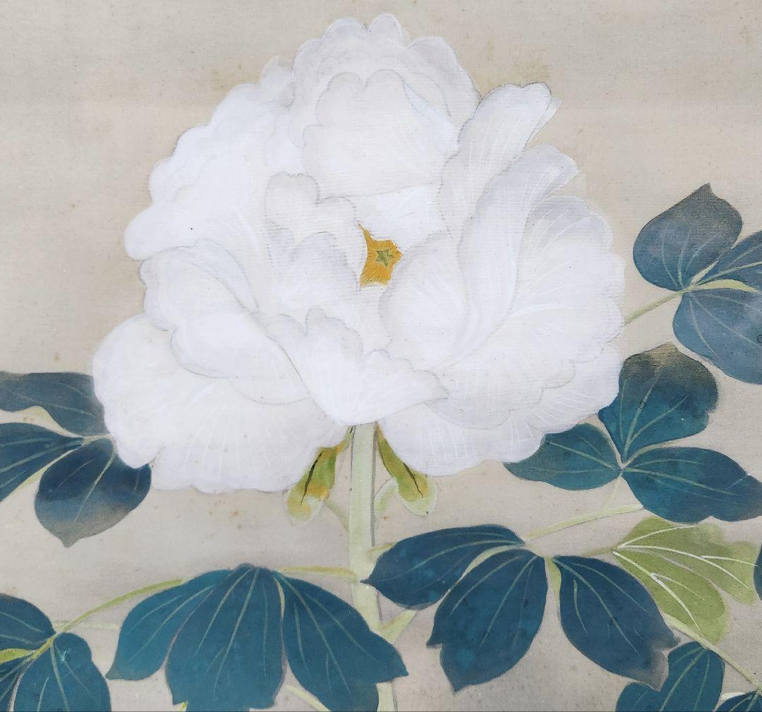 【富貴図】板倉星光 2662 白牡丹 富貴花 共箱 肉筆