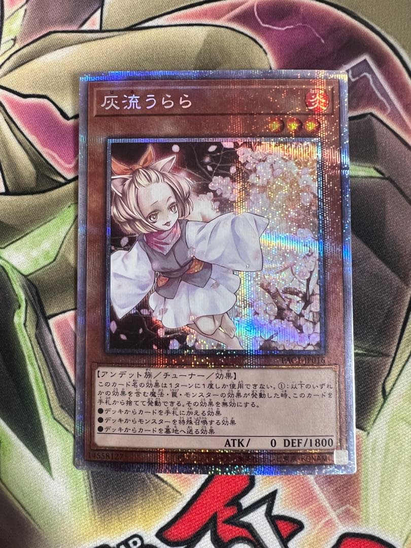 遊戯王　灰流うらら　プリズマティックシークレットレア　プリシク