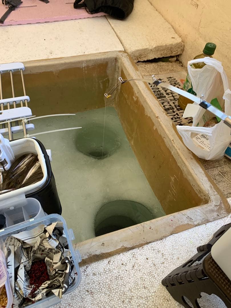 ワカサギステンレス穂先ロング 全長約300ミリ　２本