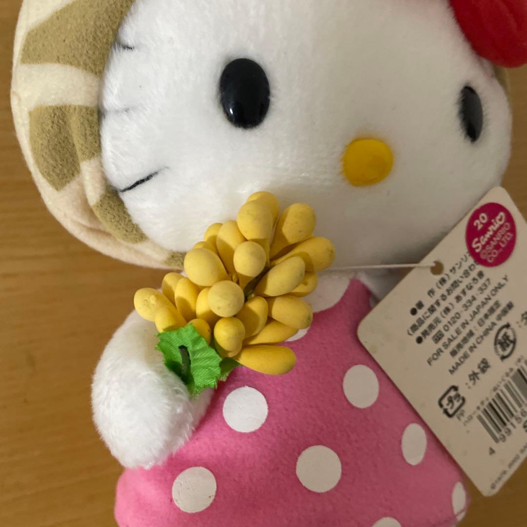 激レア タグ付き 千葉 房総限定 ハローキティ ぬいぐるみ ご当地キティ 落花生