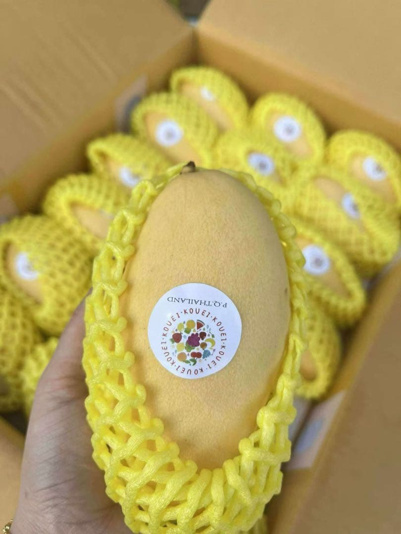 超甘〜いマンゴー一箱