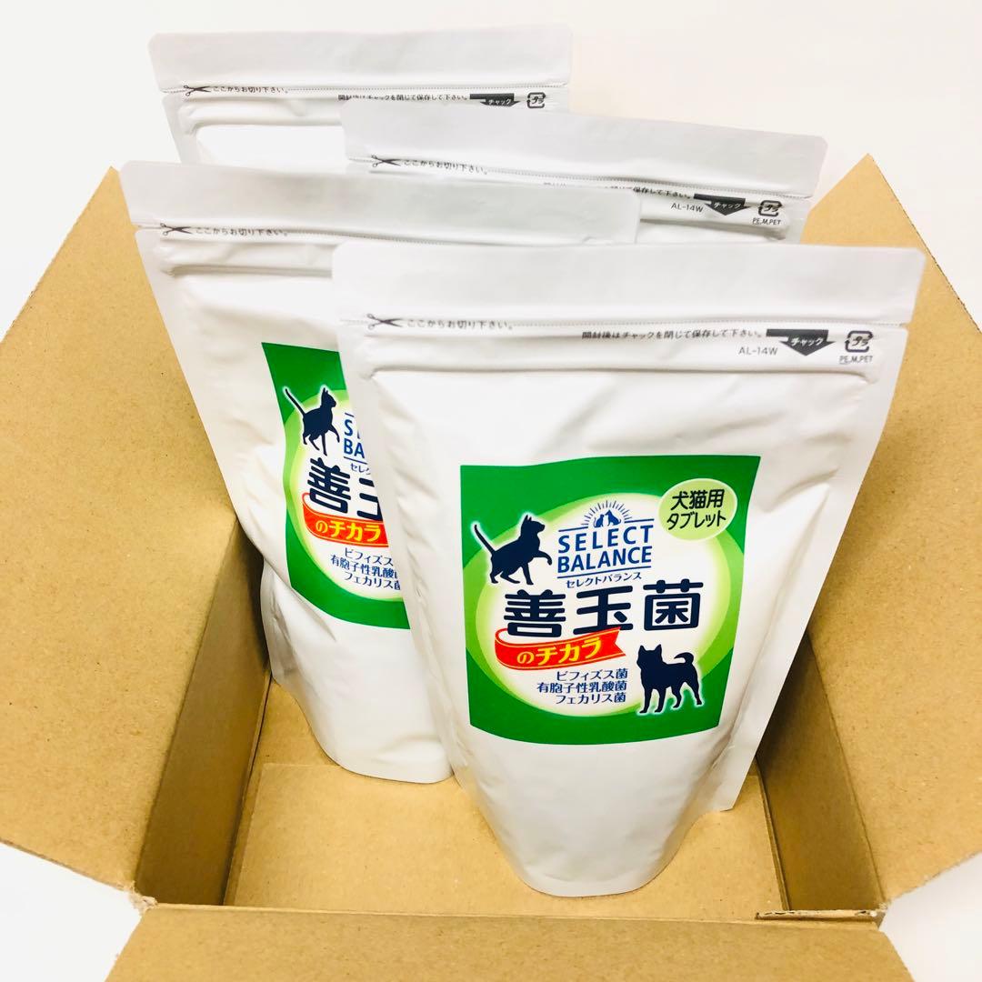 4点セット　セレクトバランス　善玉菌　乳酸菌　タブレット　300g 犬猫用