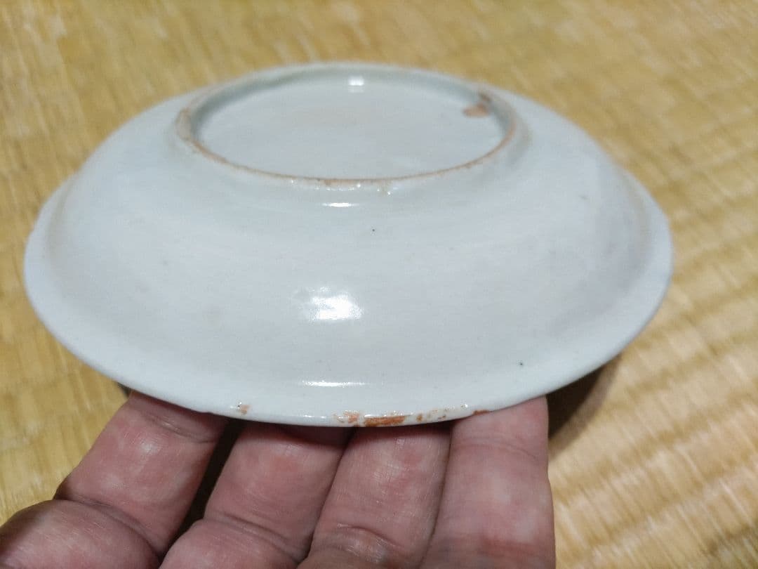 藍九谷　花唐草　皿（15.5㎝）　生掛け釉　初期伊万里　江戸前期