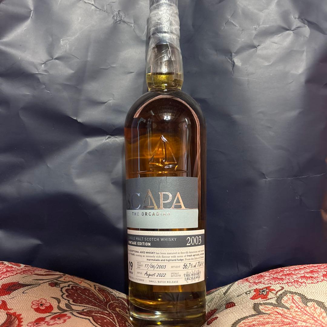 スキャパ　SCAPA 19年