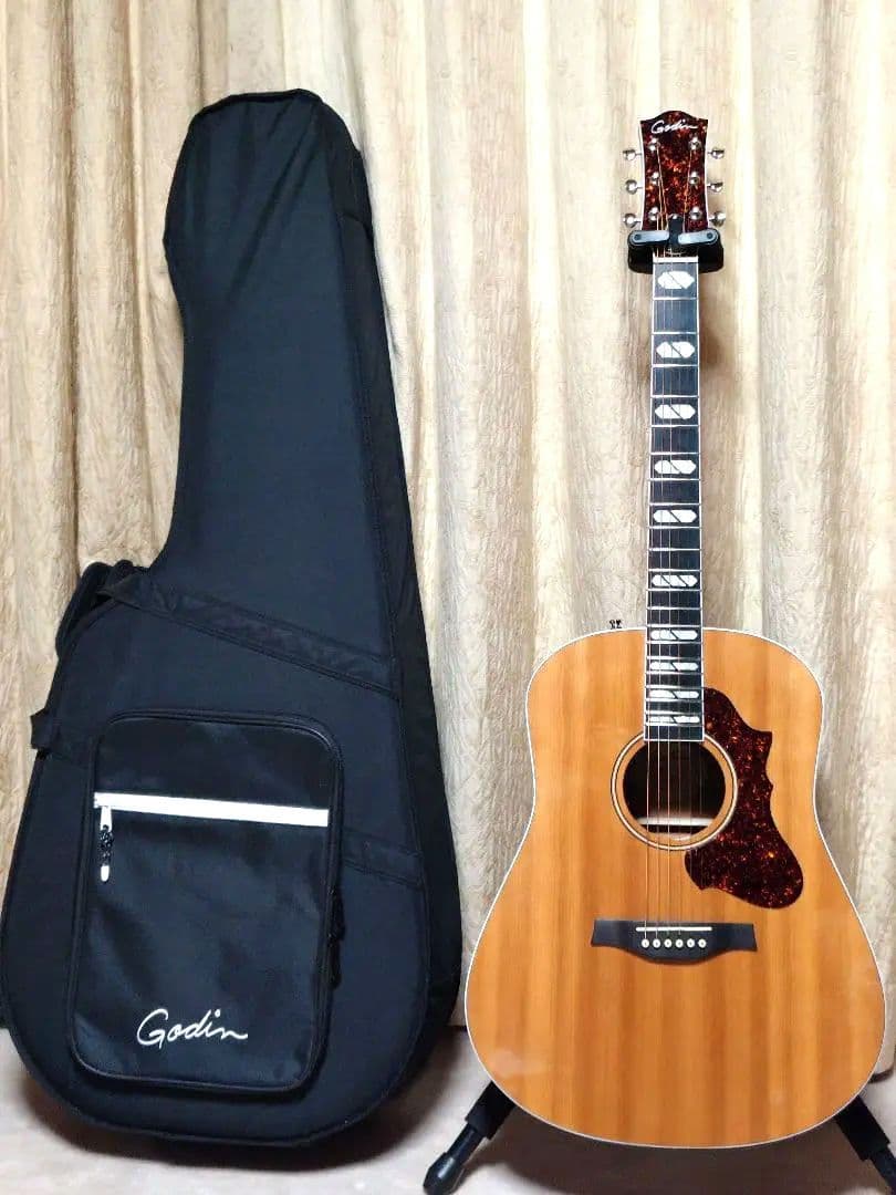 かなり美品 オール単板 ゴダン Godin エレアコ セミハードケース付
