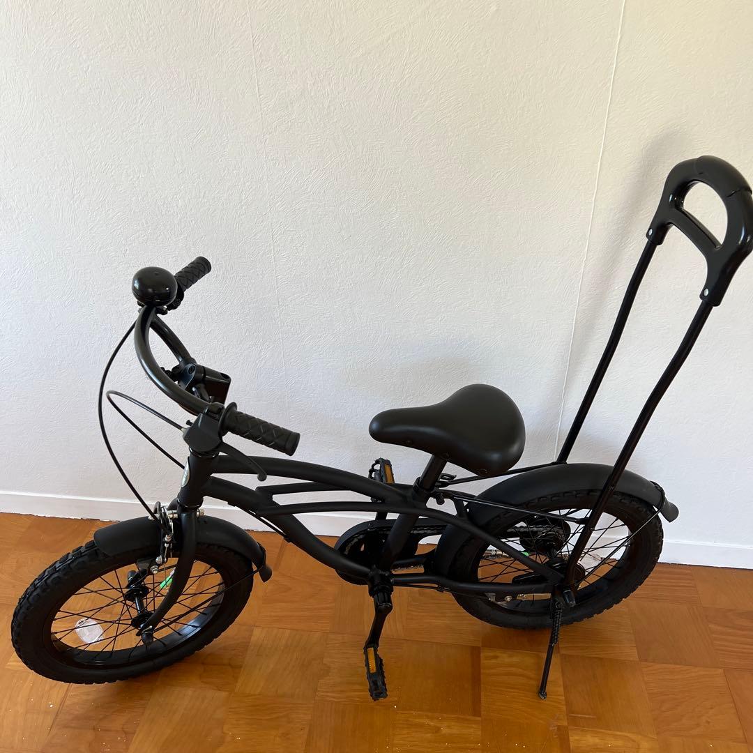 the PARK ビーチクルーザー　マットブラック16インチ