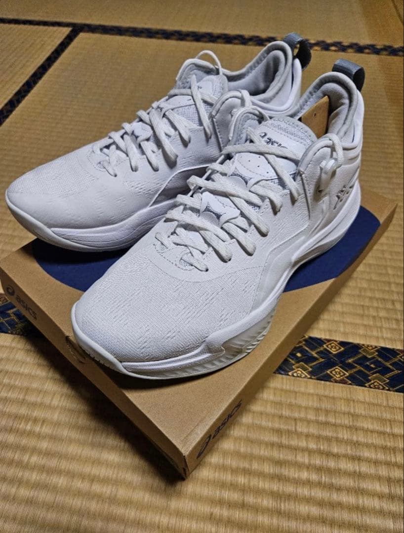 シューズ(男性用) Nova surge low2 28.0cm