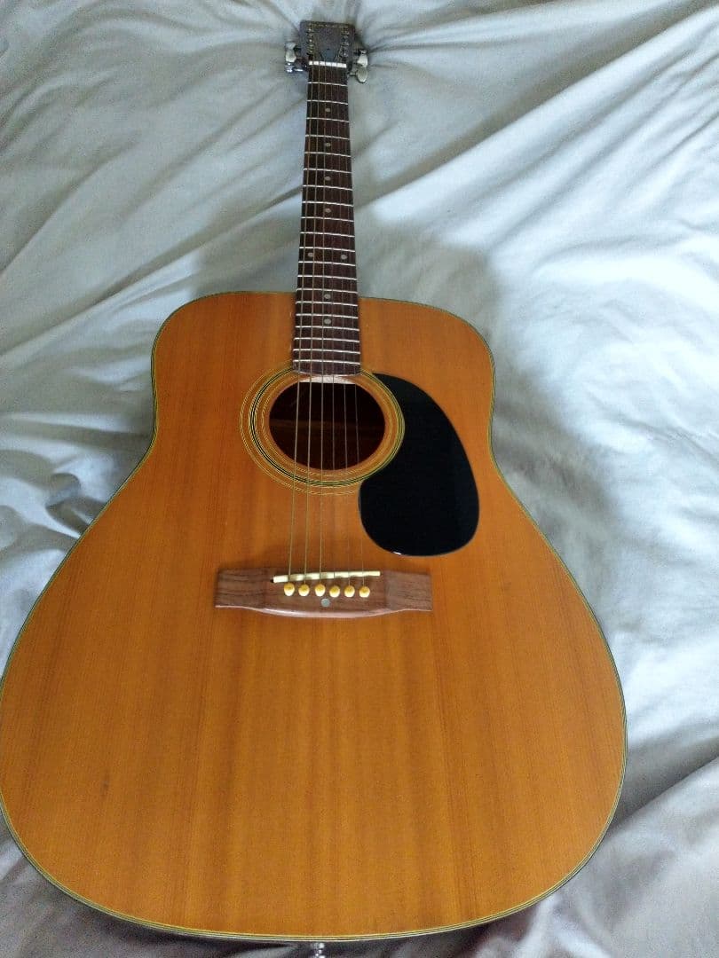 Greco アコースティックギター MODEL100