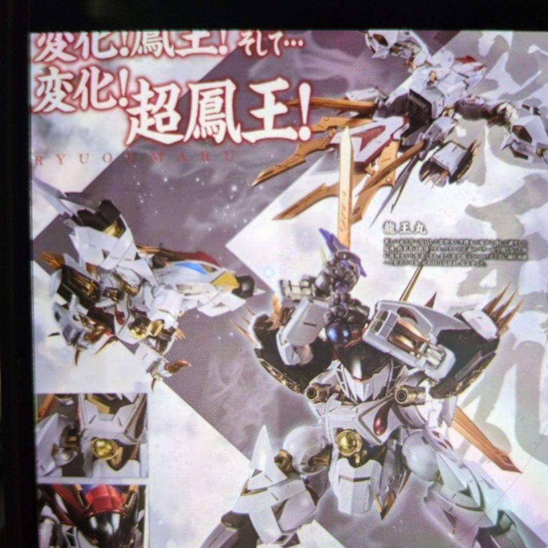 メタルビルド。ドラゴンスケール.龍王丸。