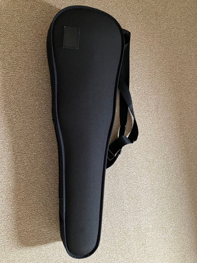 分数バイオリン 3/4　カルロジョルダーノ　未使用分数弦2本付