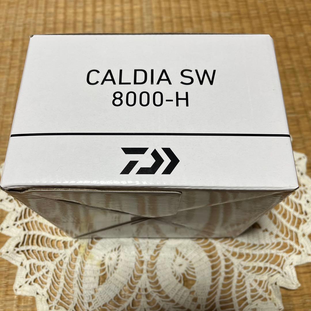 新品未使用☆ダイワ CALDIA SW 8000-H