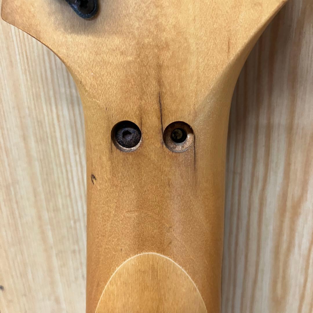 ES125 Ibanez PGM30 Paul Gilbert フジゲン