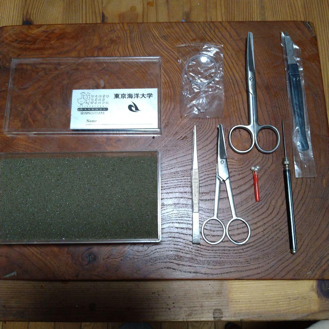 東京海洋大学　解剖セット