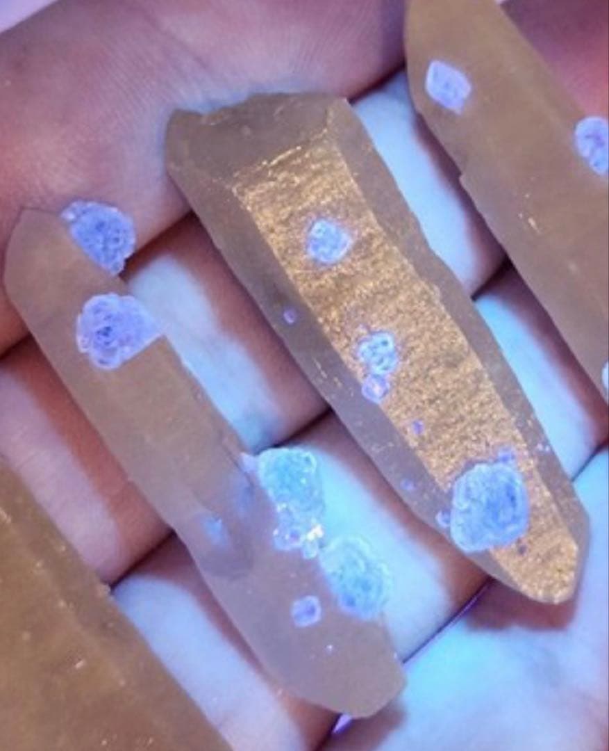 蛍光フローライト　オン　クリスタル