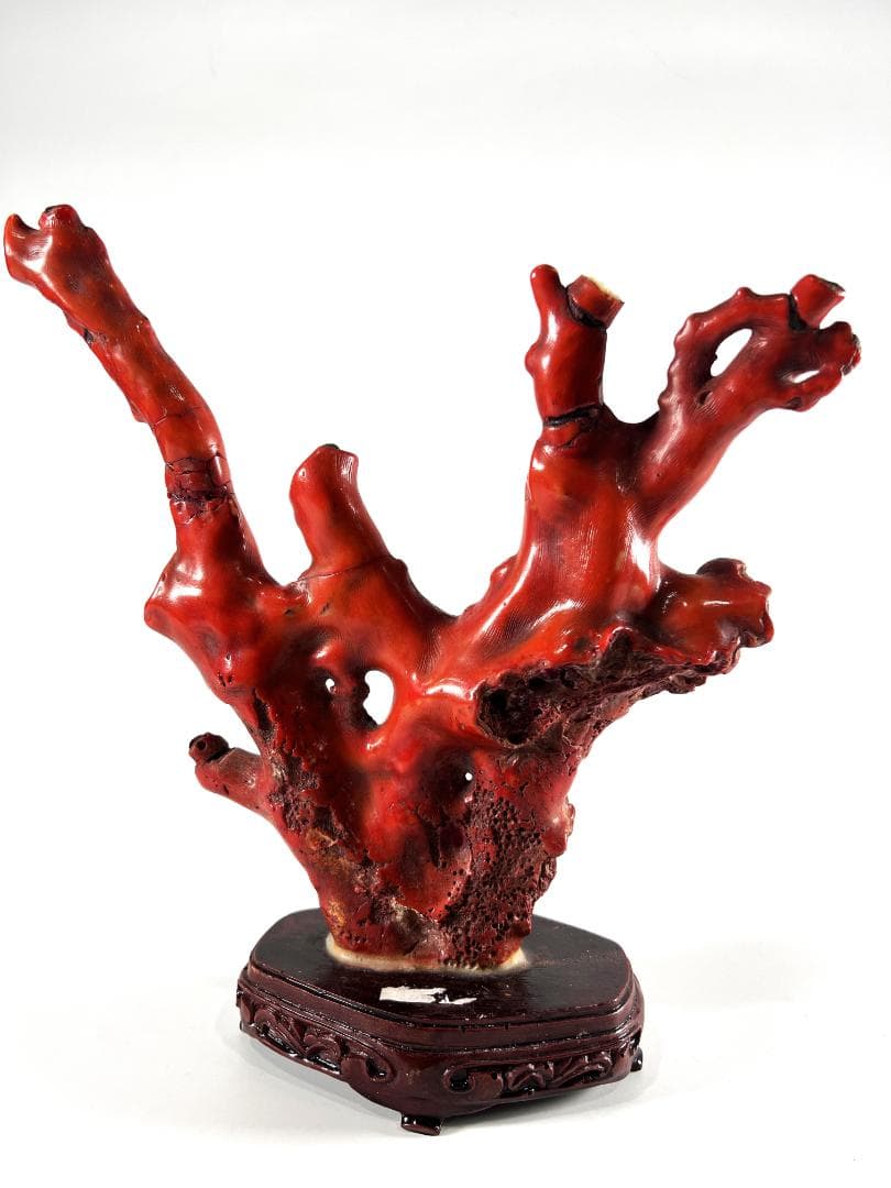 【送料無料・蔵出し品】珊瑚　珊瑚礁　赤珊瑚　台座付　飾り　詳細不明　写真参照