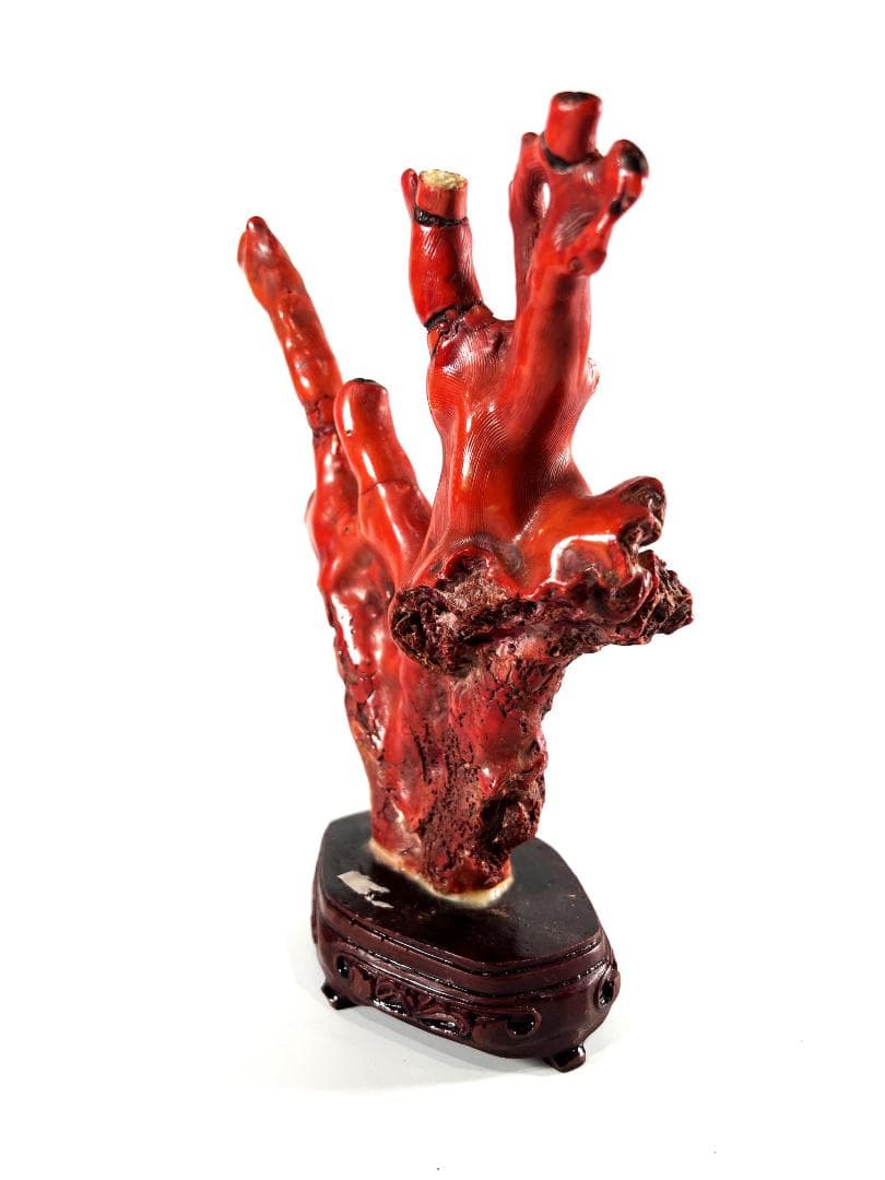 【送料無料・蔵出し品】珊瑚　珊瑚礁　赤珊瑚　台座付　飾り　詳細不明　写真参照