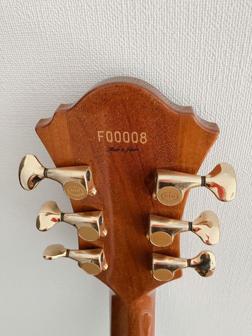 Ibanez PM120 Pat Metheny Signature フルアコ