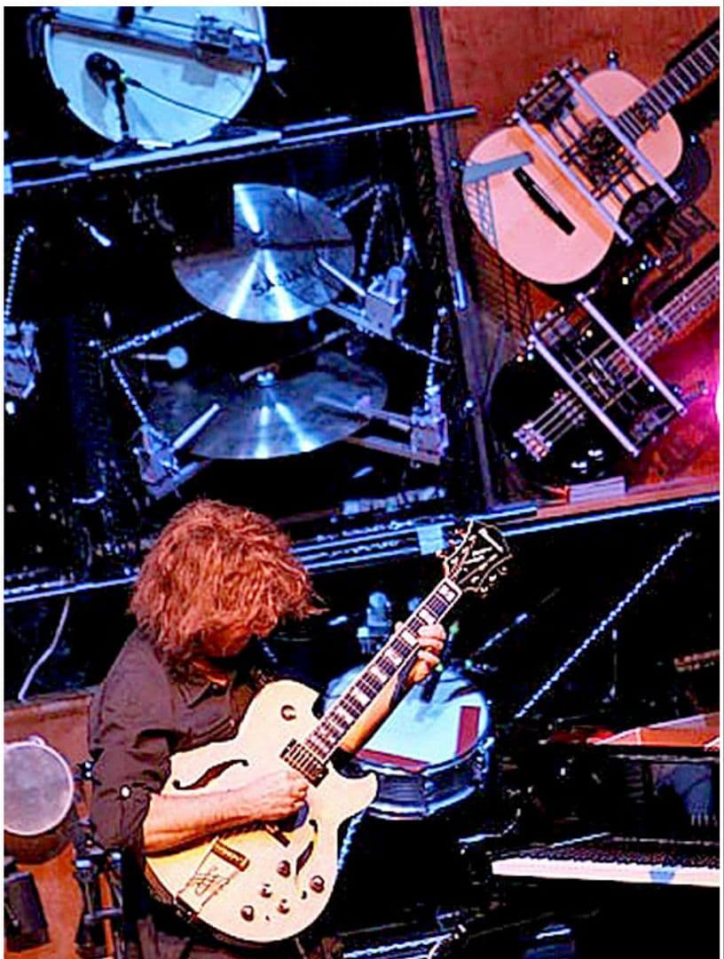 Ibanez PM120 Pat Metheny Signature フルアコ