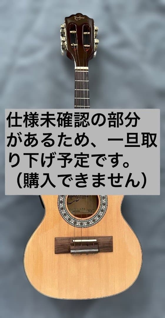 Terra Brasil Cavaquinho ピックアップ内蔵カヴァキーニョ