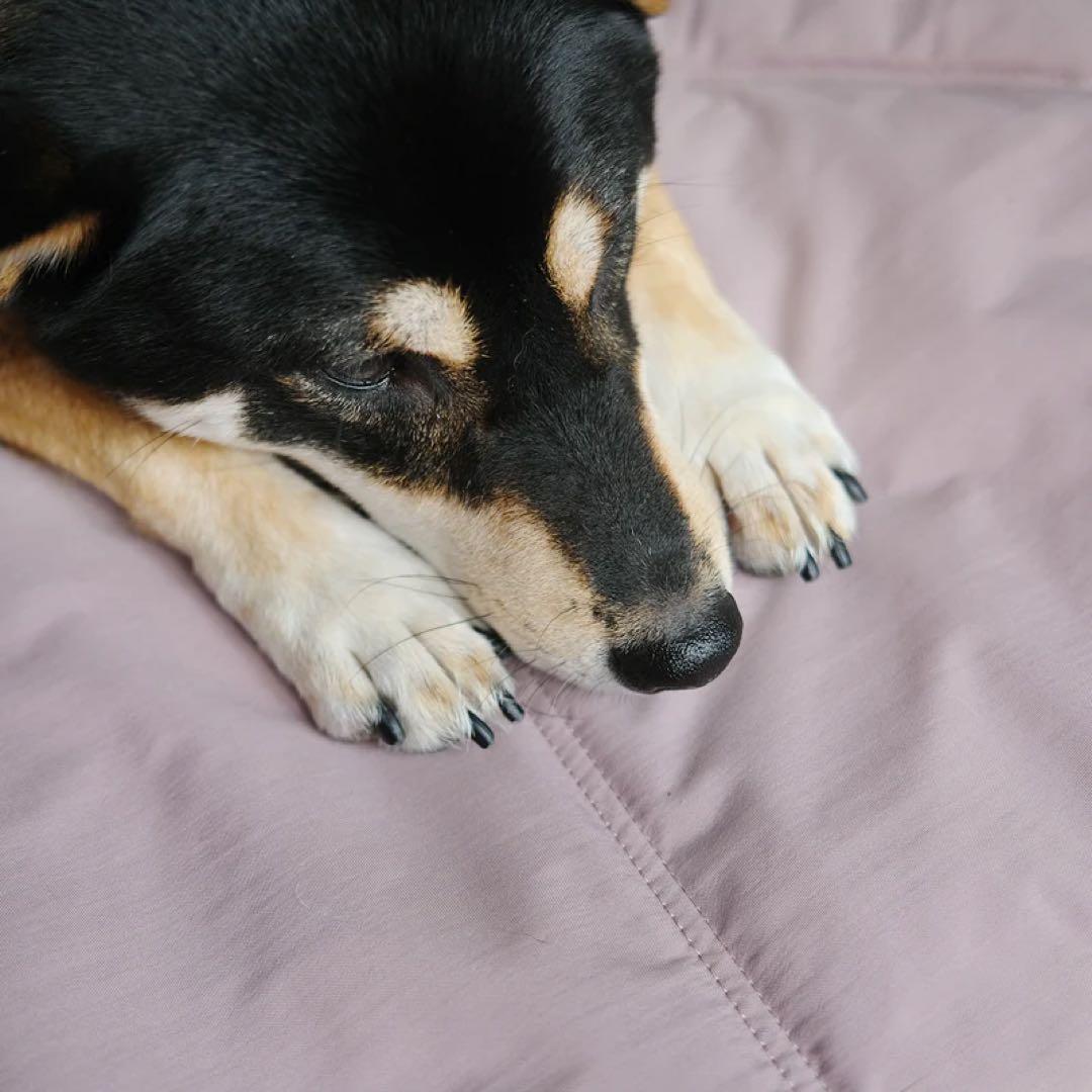 Lambwolf Collective カフェマット トレーニングマット