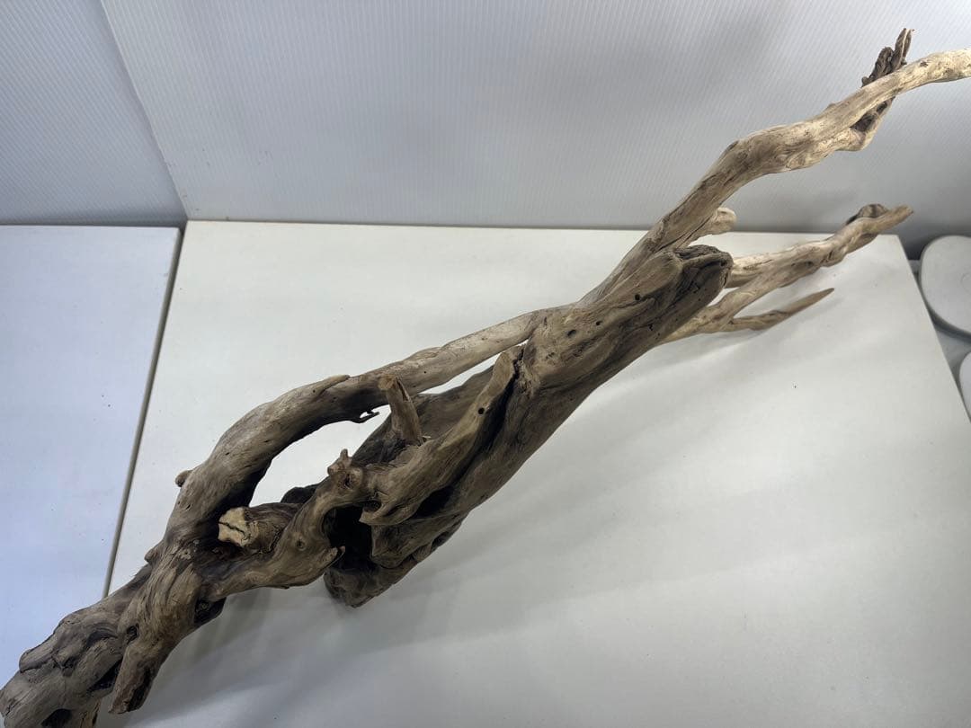 V24特大流木 アク抜き済み流木 爬虫類シェルター 登り木 インテリア 生け花