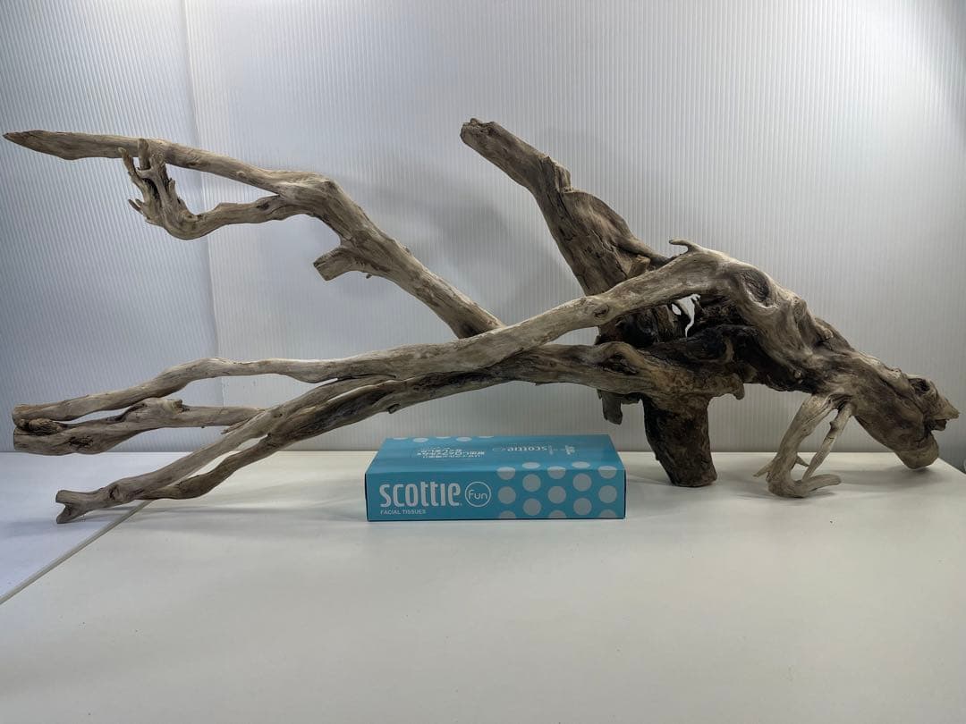 V24特大流木 アク抜き済み流木 爬虫類シェルター 登り木 インテリア 生け花