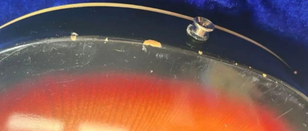 【PASSION】レスポール レコーディング モデル