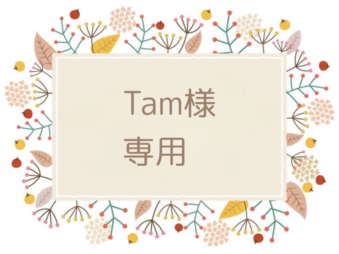《Tam》【太秋柿】４キロ箱　9個入　８個入各1箱